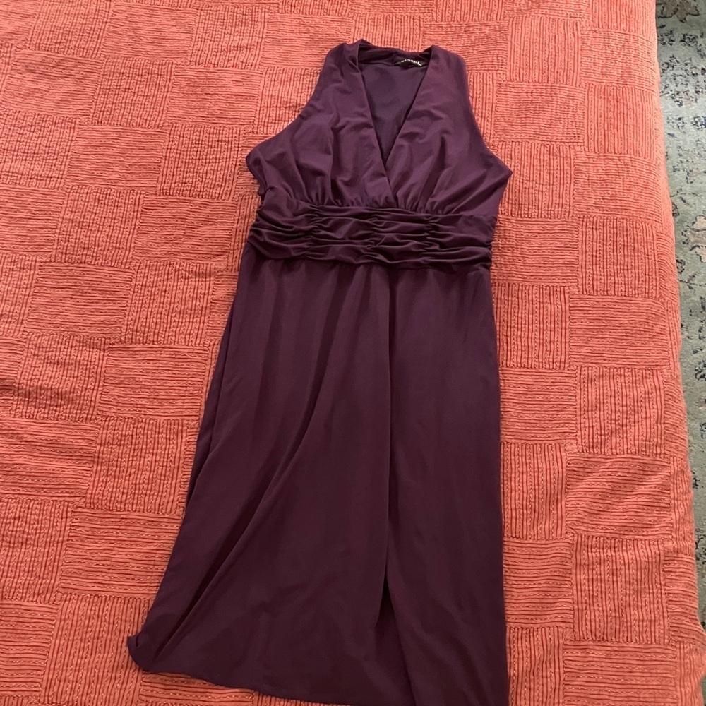 Women’s size large Sleeveless purple Maxi Dress